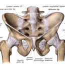 인서울한의원 이미지