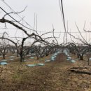 관-비-4-6호 | 四字成語 총정리 <ㄴ> 217 농후사료~뇌관기폭성