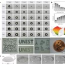 정콘택트 이미지