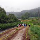 사랑의마을 이미지