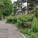 신목동주유소 이미지