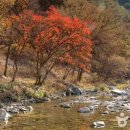 무릉계곡관광안내소 네이버블로그