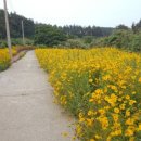 광성민박 이미지