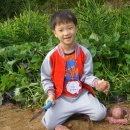 진하농장 이미지