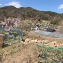 와와공인중개사사무소 이미지