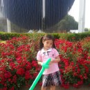 시현농장 이미지