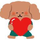 김앤정동물병원 이미지