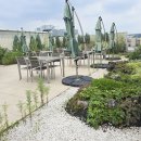 시노펙스 발코니 옥상에 설치한 플랜티움 야외 플랜테리어 (옥상정원) 이미지