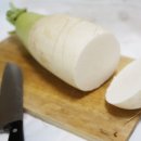 배추양무우군