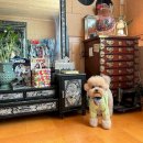 김부자댁 둘째딸 이미지