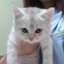 건국동물병원 이미지