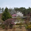 한백농장 이미지