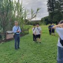 진용선농장 이미지