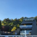 미앤마이독스 이미지