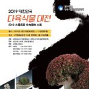 2019 다육식물 대전(서울) 이미지