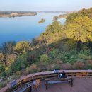 두동편백마을 | 익산 금강뷰 끝판왕! &#39;카페 바람의언덕&#39;에서 찾은 핑크뮬리와 힐링의 시간