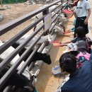 상생축산 이미지