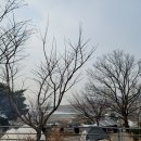 햇솔 오토 캠핑장 이미지