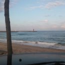 동해유정란농장 이미지