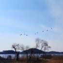 언택트 시대에 한강을 바라보며 고양시의 명소 행주역사공원 산책하기(행주서원+행주성당)