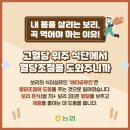 보리맘 이미지
