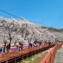 8군푸드 이미지