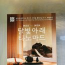 하월라잇 이미지