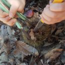 밤나무골농장 이미지