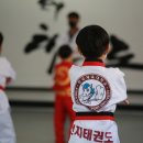 천지태권도장 이미지