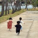 당근스테이 | 세 가족 &amp; 아기 셋과 떠난 영덕 고래불 해수욕장｜당근스테이 민박 1박 2일 후기 🐳 🤍