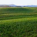 일원농장 이미지