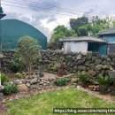 사필귀덕 | 제주 한림 애월 카페거리 근처 촌캉스 감성 숙소 독채펜션 사필귀덕 솔직 후기