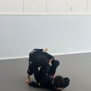 주짓수스타일 | 일산주짓수 체험 후기 인아웃 주짓수에서 느낀 초보 맞춤 운동의 진짜 매력과 변화