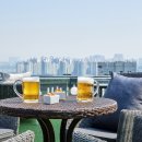 스테이 봄 이미지