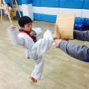 용인대쌍용태권도 이미지