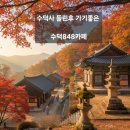 848 | 수덕사 카페 이색카페｜산양 볼 수 있는 피톤치드향 가득한 수덕848카페 🐐 힐링후기