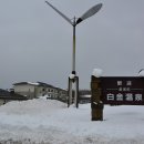 비에이 카카오 검색결과