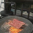 꿈꾸는풍차애견동반펜션 | 강릉 애견동반펜션 ‘꿈꾸는풍차펜션’ 가성비최고 가족여행 추천