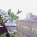 스테이코 이미지