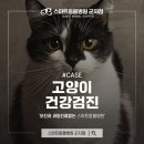 스마트동물병원 군자점 이미지