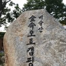 비슬산 숲속 오토캠핑장 이미지