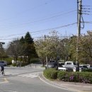 창리근린공원 이미지