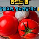 토마토 공복 위염 변비 알레르기 토마토즙 주의할 건 이미지