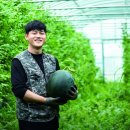 어그리몬 이미지