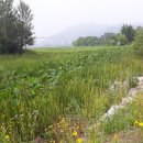 서종체육공원 이미지