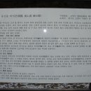 동산동비석군 이미지