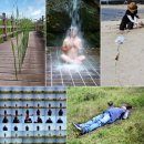 노마딕(nomadic) 이미지