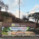 인삼약초시장 이미지