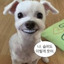 먹방 분량 적음