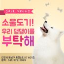 소울도기 이미지